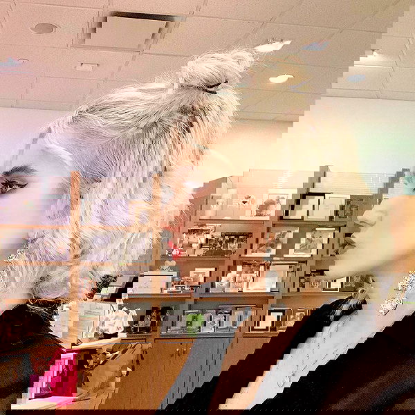 sightthefae image ~ Altpins