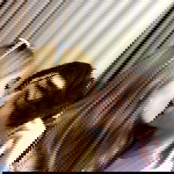 sightthefae image ~ Altpins