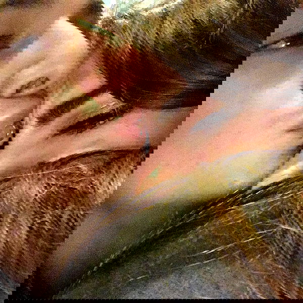 sightthefae image ~ Altpins