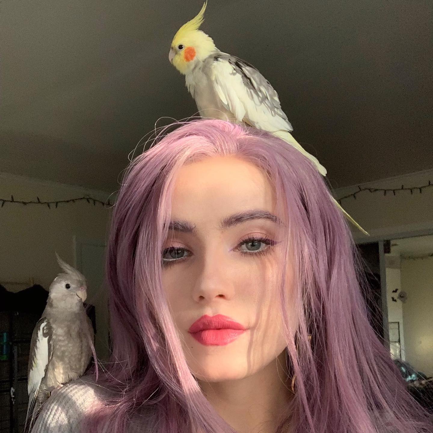 sightthefae instagram image archive image