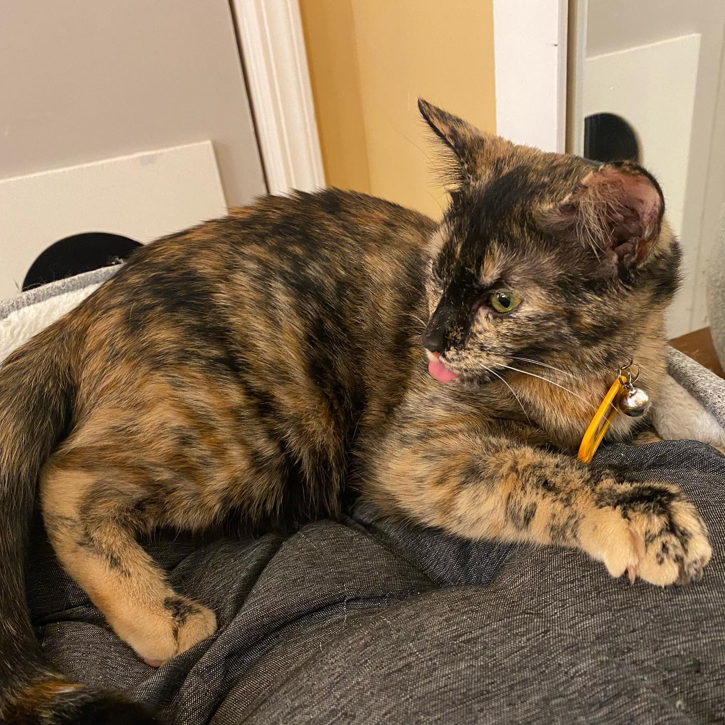 sightthefae instagram image archive image