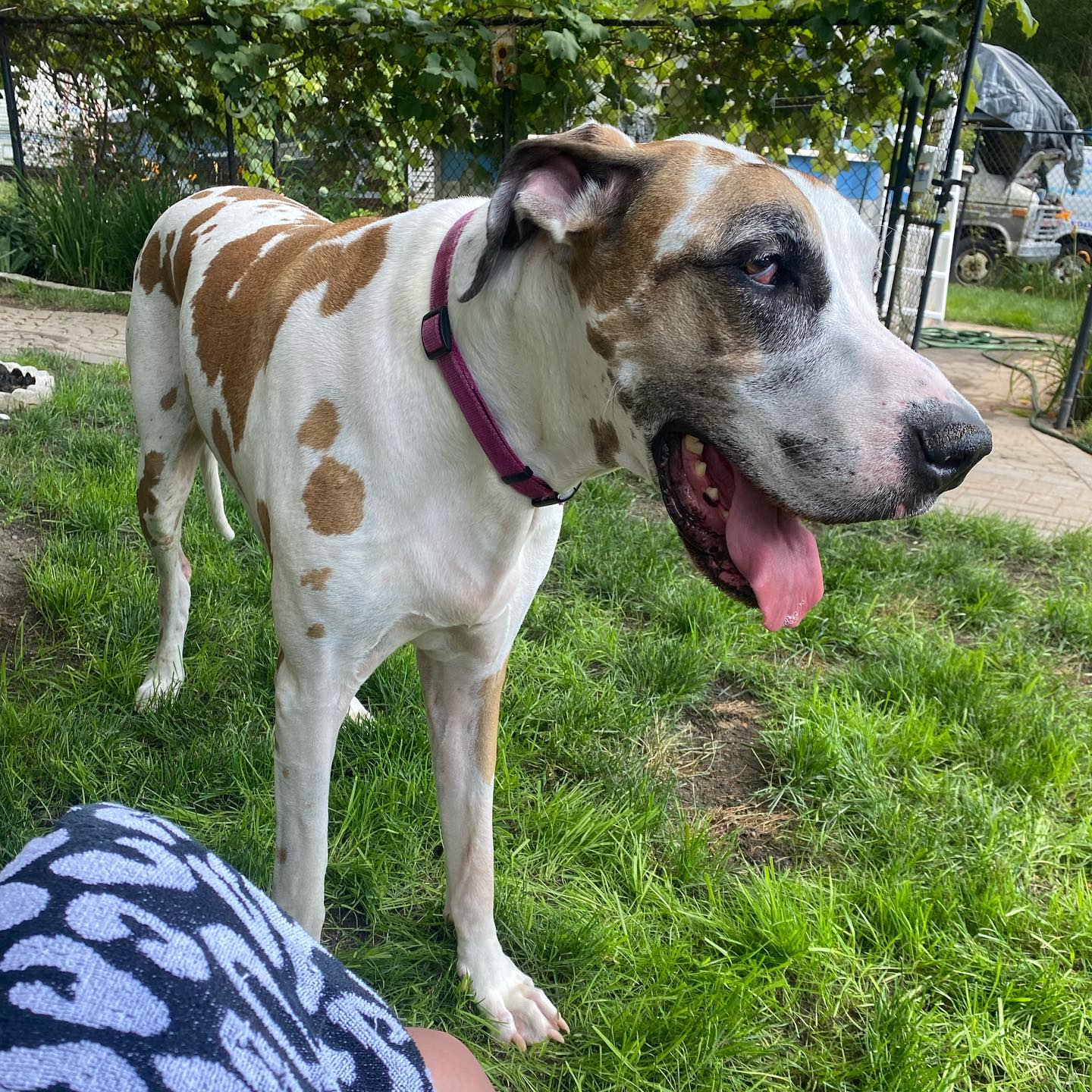 sightthefae instagram image archive image