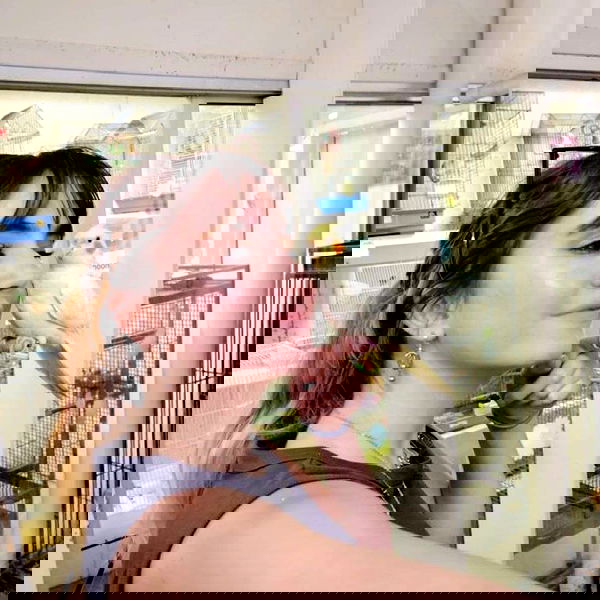 sightthefae image ~ Altpins