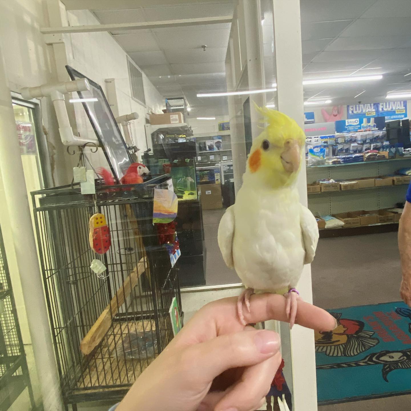 sightthefae instagram image archive image