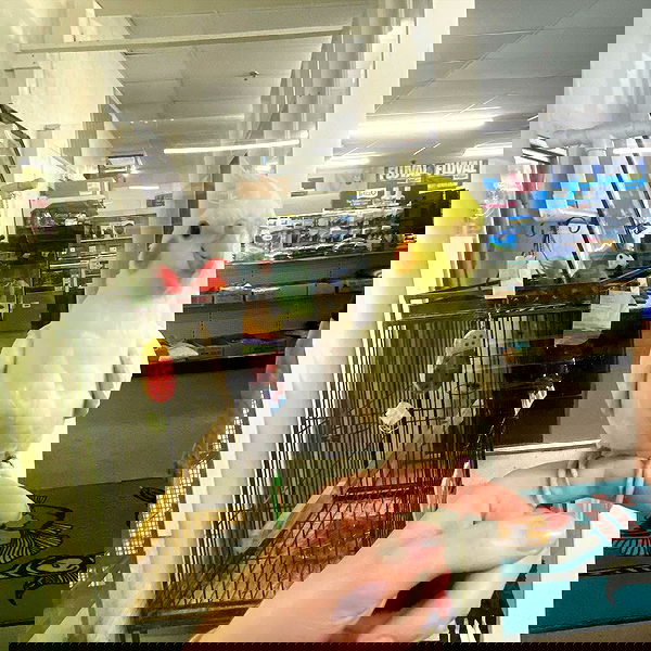 sightthefae image ~ Altpins