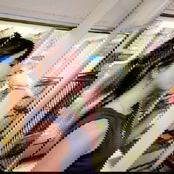 sightthefae image ~ Altpins