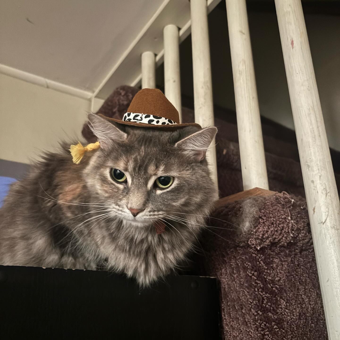 sightthefae instagram image archive image