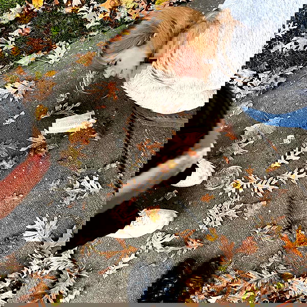 sightthefae image ~ Altpins