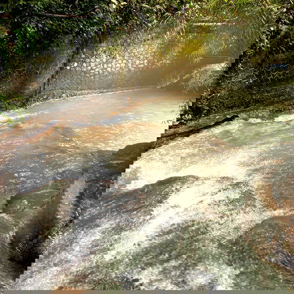 sightthefae image ~ Altpins