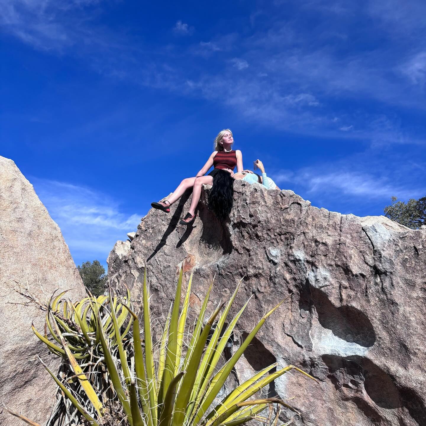 sightthefae instagram image archive image