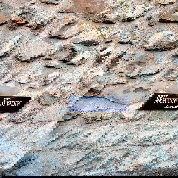 sightthefae image ~ Altpins