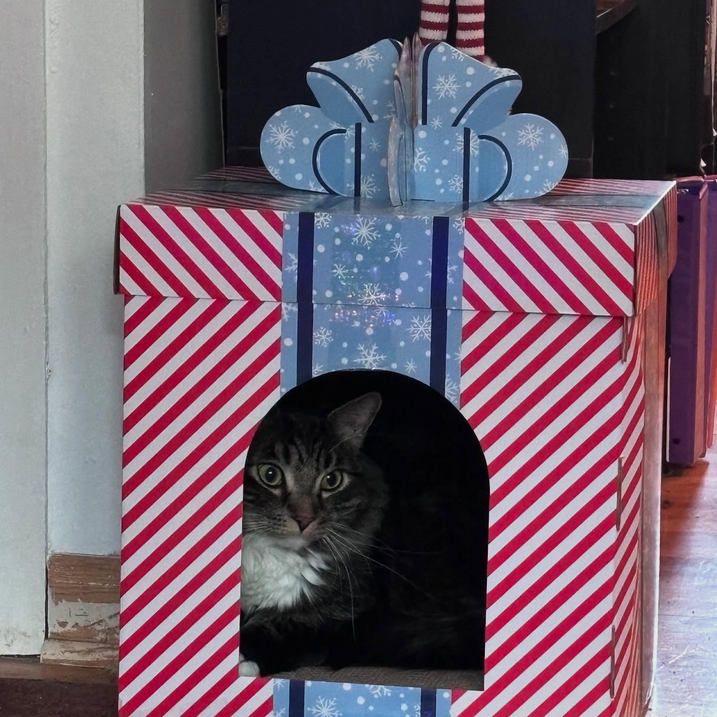 sightthefae instagram image archive image