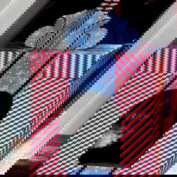 sightthefae image ~ Altpins