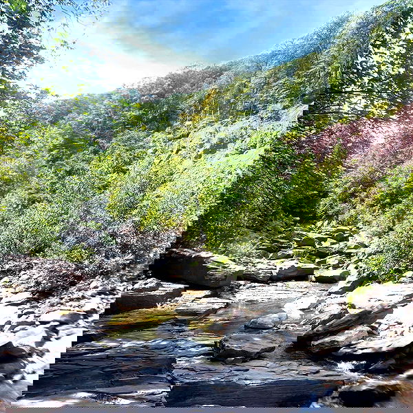 sightthefae image ~ Altpins