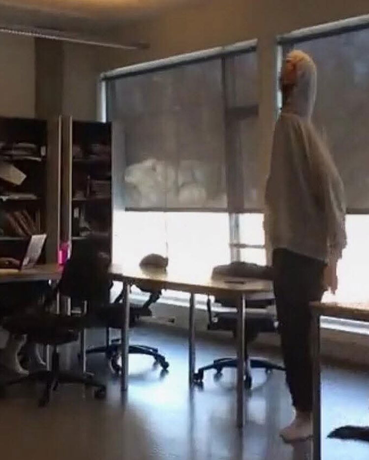 silkton instagram image archive image