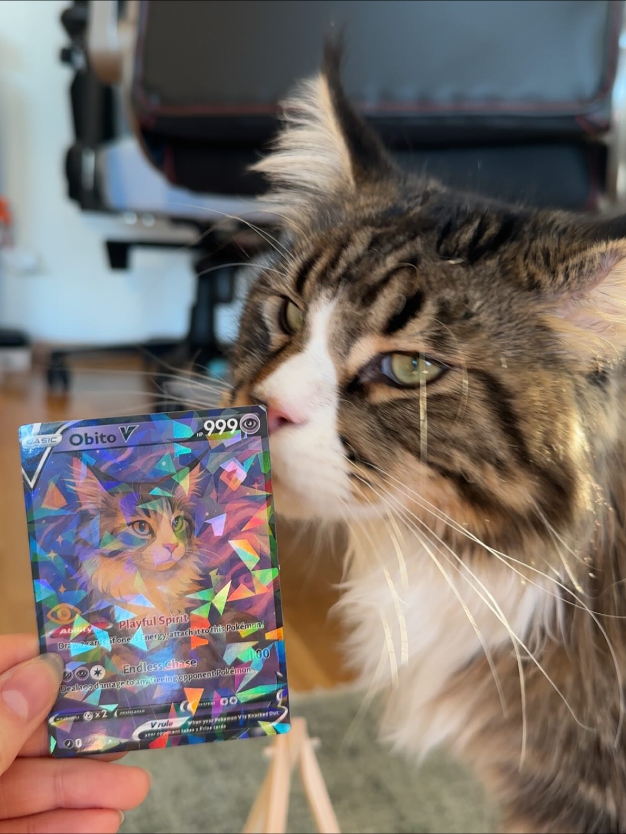 silkton instagram image archive image