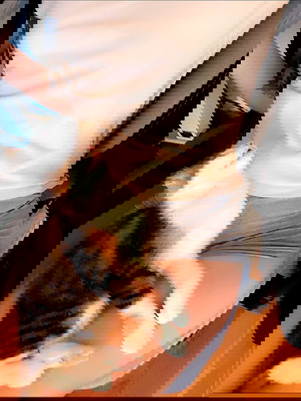 silkton image ~ Altpins