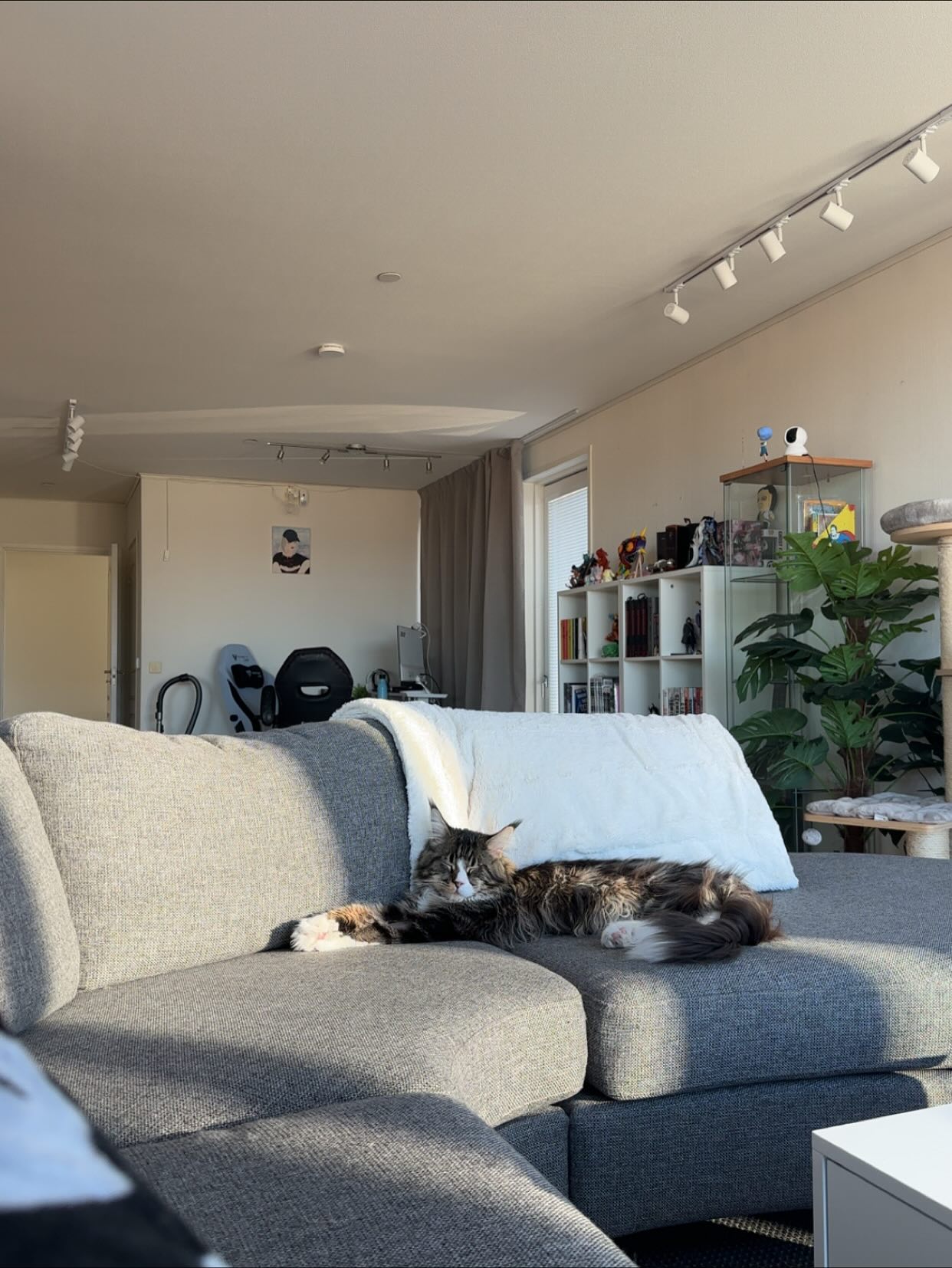 silkton instagram image archive image