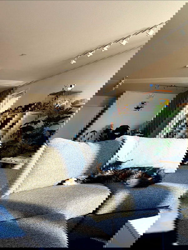 silkton image ~ Altpins