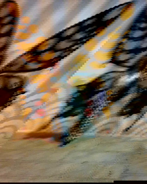 simp_for_cats_ simp_for_cats_ archive image