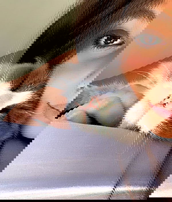 simp_for_cats_ simp_for_cats_ archive image