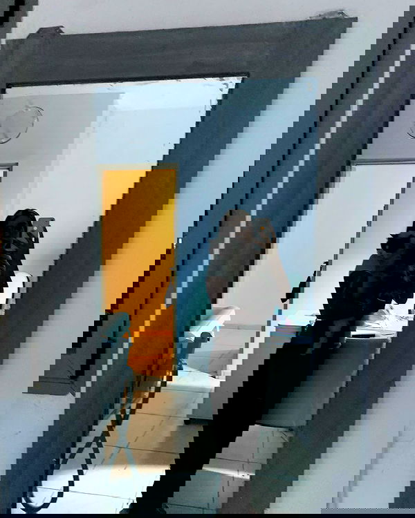 simp_for_cats_ simp_for_cats_ archive image