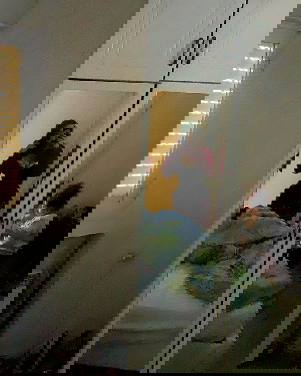 simp_for_cats_ simp_for_cats_ archive image