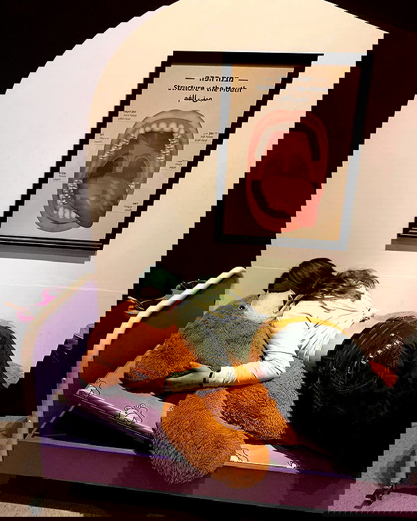 simp_for_cats_ simp_for_cats_ archive image