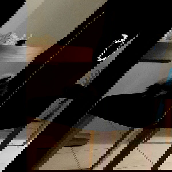 simp_for_cats_ simp_for_cats_ archive image