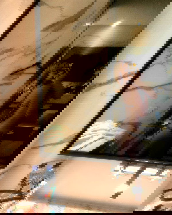 simp_for_cats_ simp_for_cats_ archive image