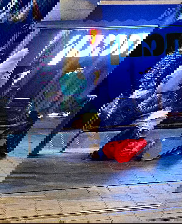 simp_for_cats_ simp_for_cats_ archive image