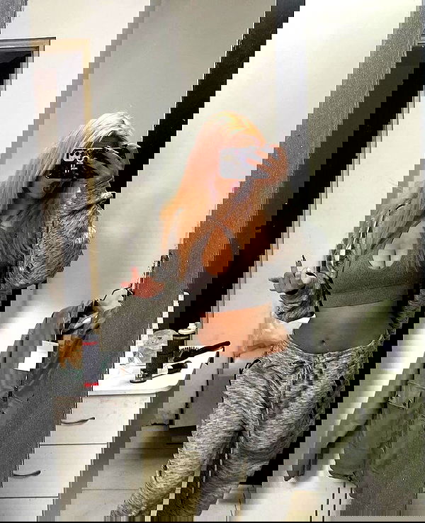 simp_for_cats_ simp_for_cats_ archive image