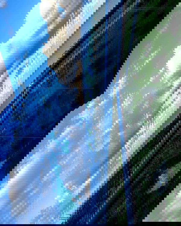 simp_for_cats_ simp_for_cats_ archive image