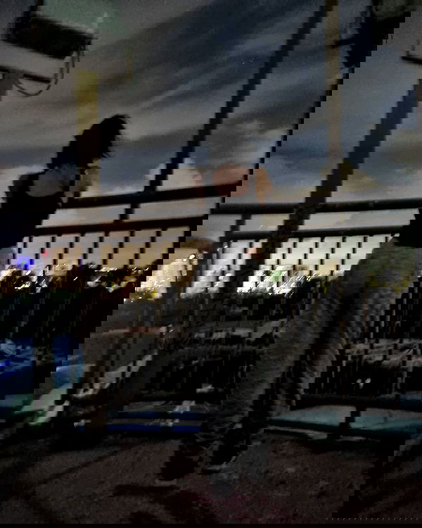 simp_for_cats_ simp_for_cats_ archive image