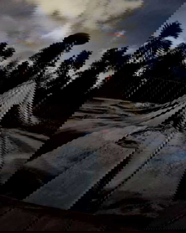 simp_for_cats_ simp_for_cats_ archive image