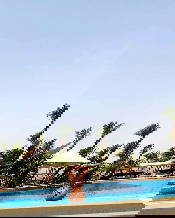 simp_for_cats_ simp_for_cats_ archive image