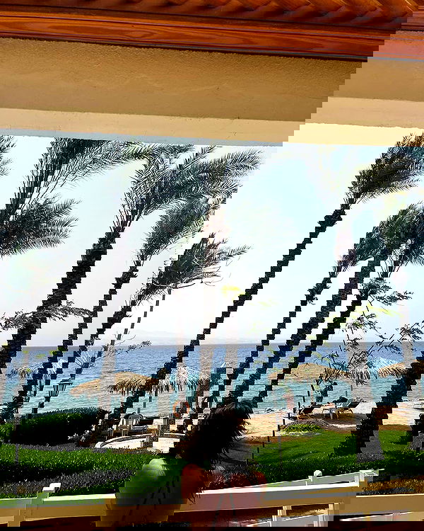 simp_for_cats_ simp_for_cats_ archive image