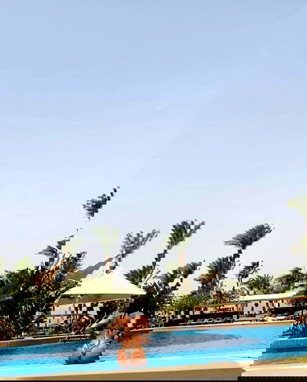 simp_for_cats_ simp_for_cats_ archive image