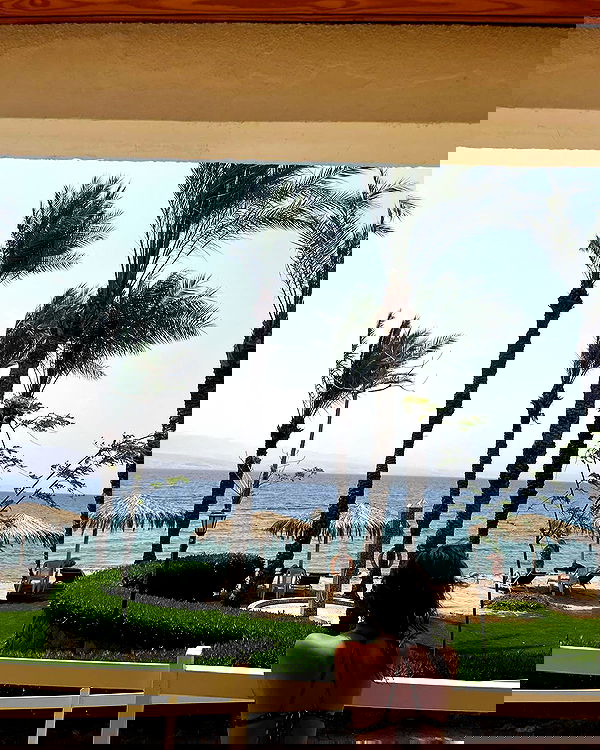 simp_for_cats_ simp_for_cats_ archive image