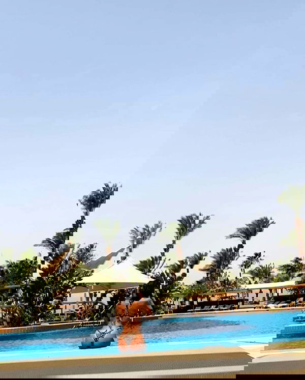 simp_for_cats_ simp_for_cats_ archive image