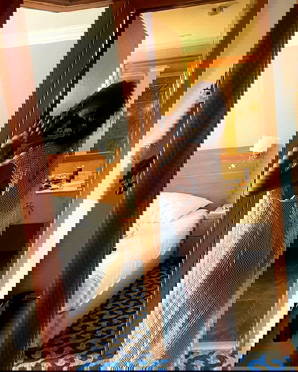 simp_for_cats_ simp_for_cats_ archive image