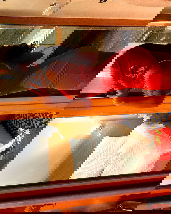 simp_for_cats_ simp_for_cats_ archive image