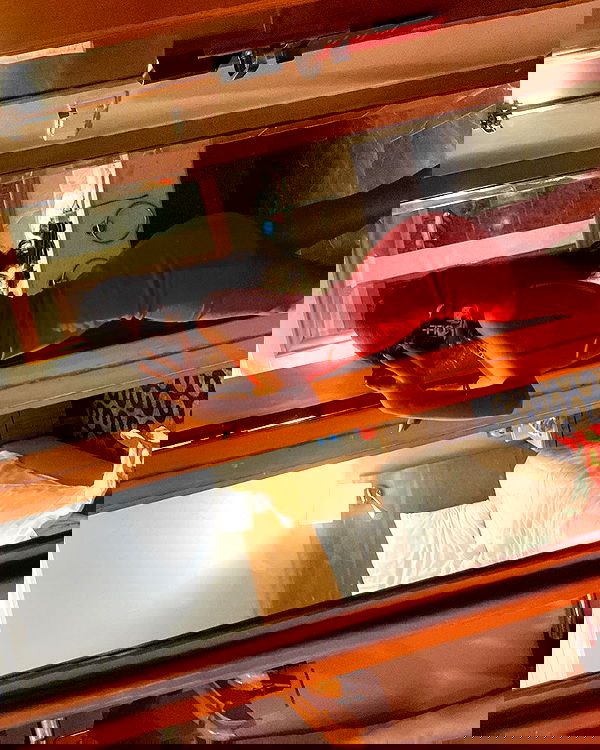 simp_for_cats_ simp_for_cats_ archive image