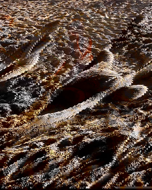 simp_for_cats_ simp_for_cats_ archive image