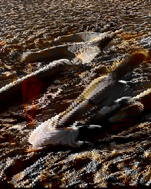 simp_for_cats_ simp_for_cats_ archive image