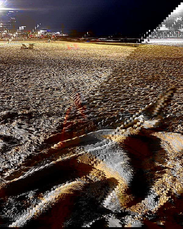 simp_for_cats_ simp_for_cats_ archive image