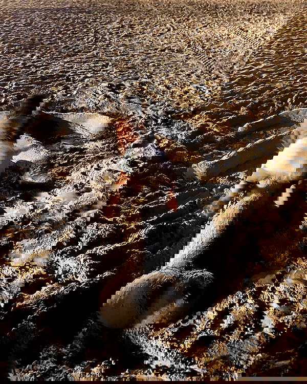 simp_for_cats_ simp_for_cats_ archive image