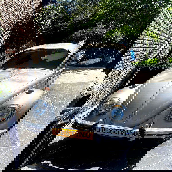 simp_for_cats_ simp_for_cats_ archive image