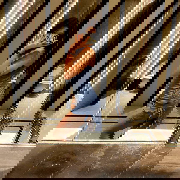 simp_for_cats_ simp_for_cats_ archive image