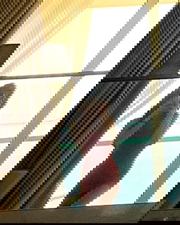 simp_for_cats_ simp_for_cats_ archive image